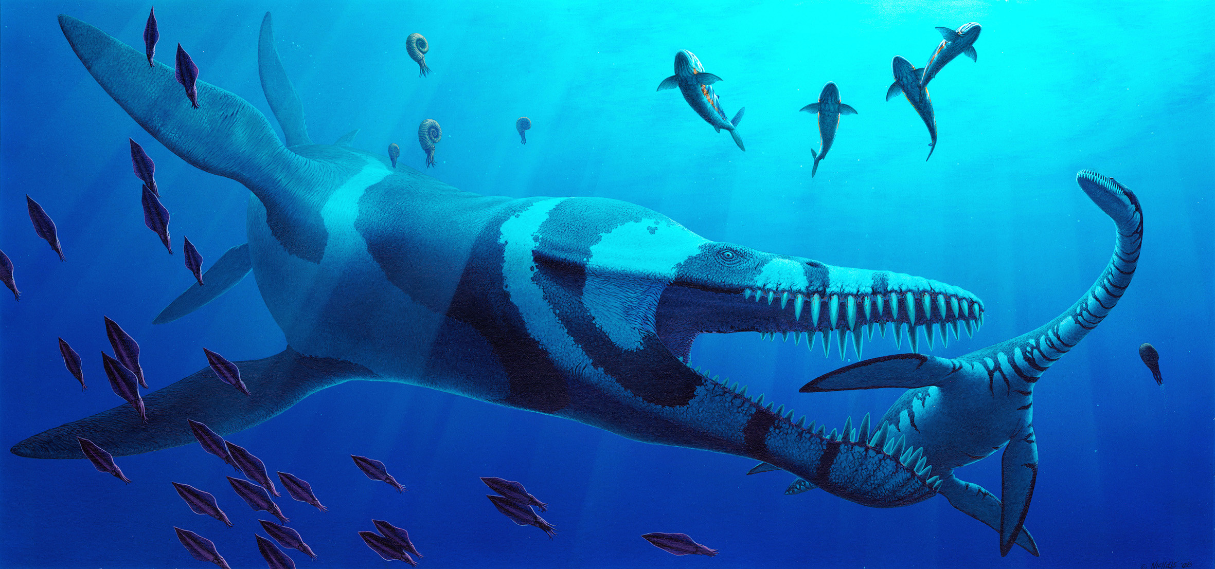 Vestige of Massive Jurassic ‘Ocean Monster’ Found in a Polish Cornfield