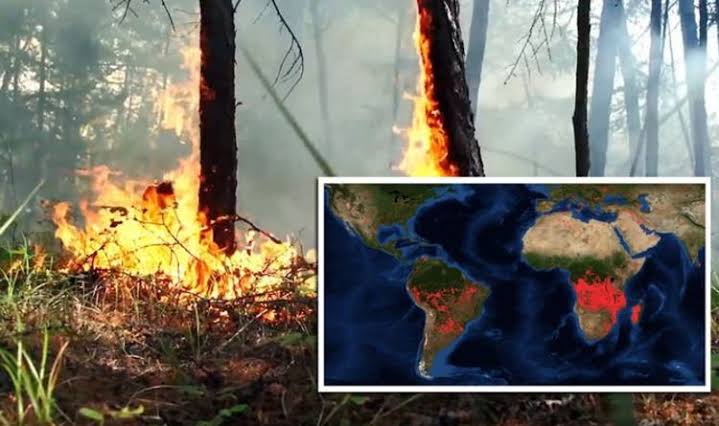 In 2019 , Amazing Shows How Much of Earth Was Actually on Fire