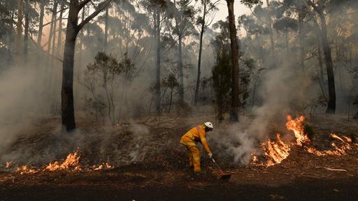 Here’s exactly how awful the overwhelming Australian flames are – by the numbers