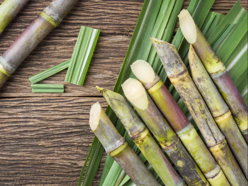 The most effective method to make plastic bottles from sugarcane and caught CO₂